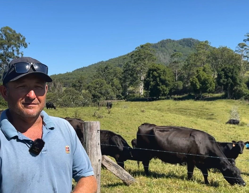 Brad Johnson Box Divvy Farmer Gloucester Grass-fed Meats