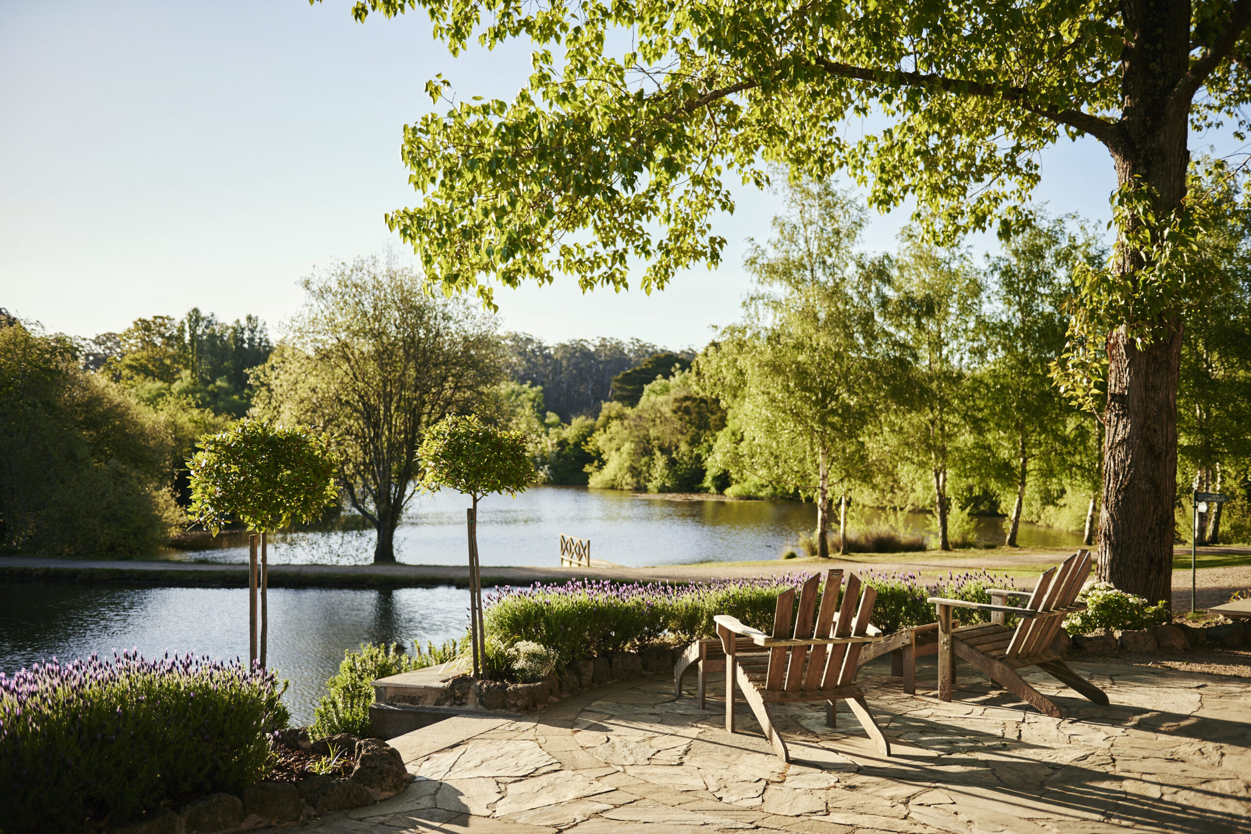 Lake House - gardens