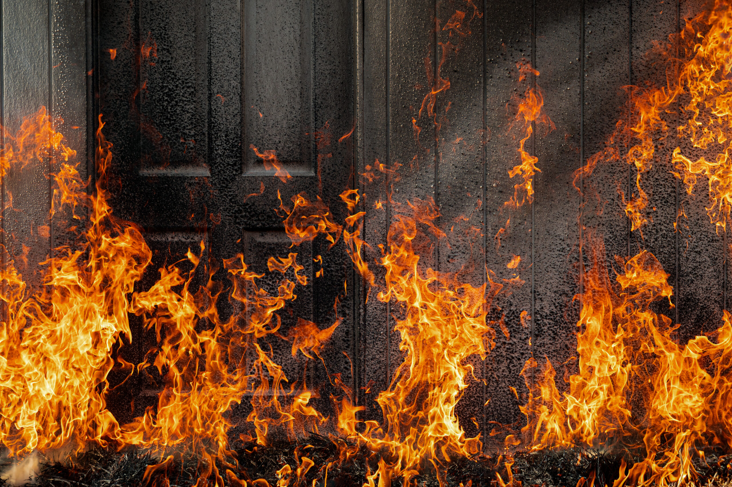 FSIFirecoat_ControlledBurn-2066