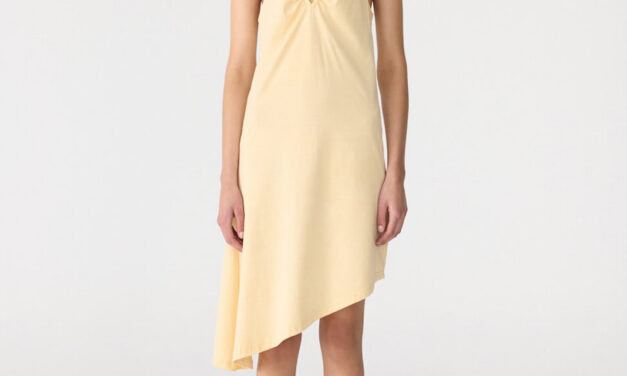 Bassike Bio Dyed Halter Neck Dress – Style