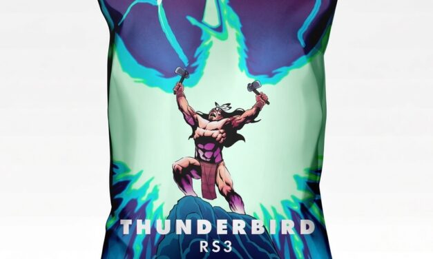 Thunderbird Chips – FOMO Love